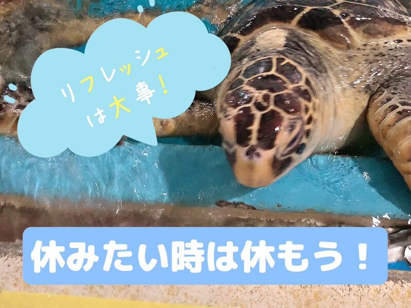融通の聞く仕事です(๑•̀ㅂ•́)و✧グッ!